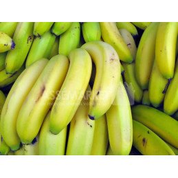 Banane Douce kg